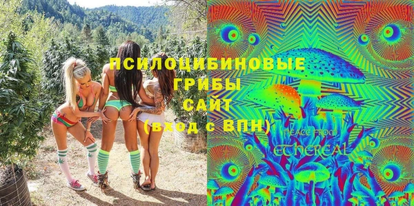 гидропоника Сатка