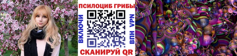 Купить  Судак  Галлюциногенные грибы MAGIC MUSHROOMS 